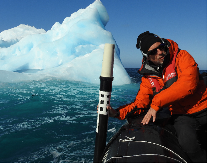 SEAMPHONI: A Marine Digital Twin to Monitor Marine Biodiversity